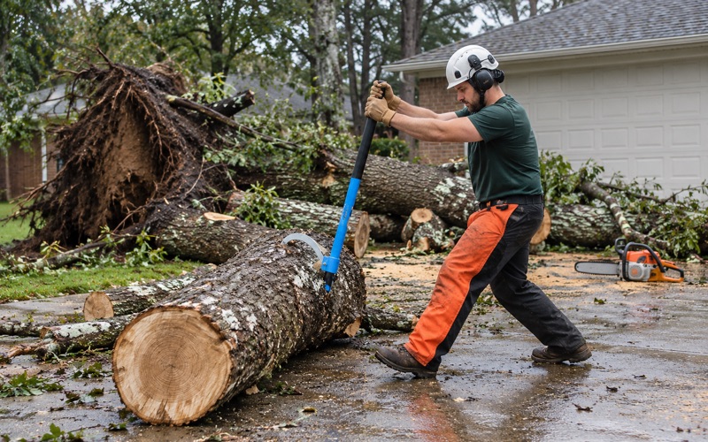 Worker rolling the first cut section clear of a Huntsville driveway with a cant hook after a white oak went over whole.